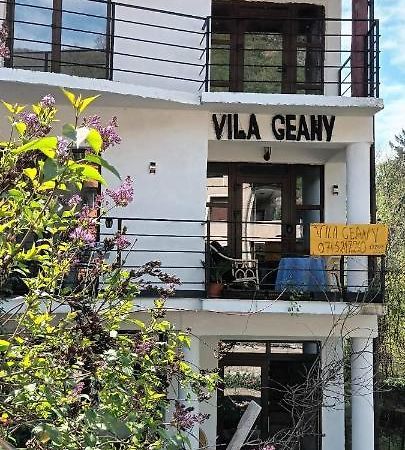 Pensiunea Vila Geany Srl Băile Herculane Zewnętrze zdjęcie