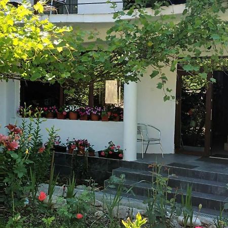 Pensiunea Vila Geany Srl Băile Herculane Zewnętrze zdjęcie
