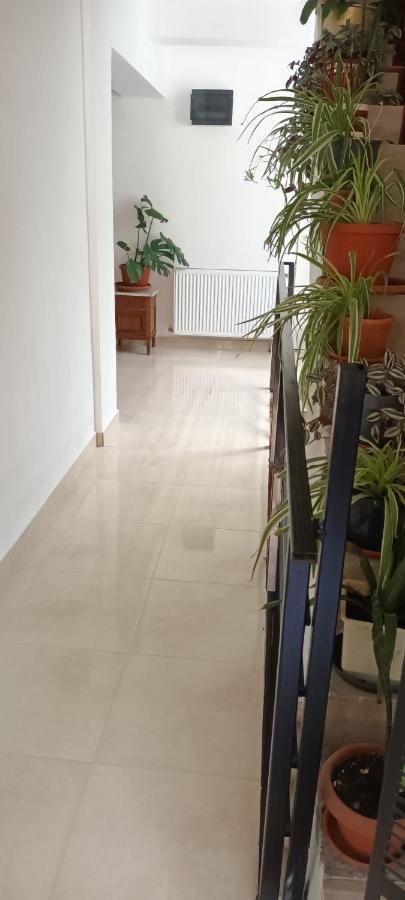 Pensiunea Vila Geany Srl Băile Herculane Zewnętrze zdjęcie