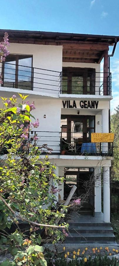 Pensiunea Vila Geany Srl Băile Herculane Zewnętrze zdjęcie